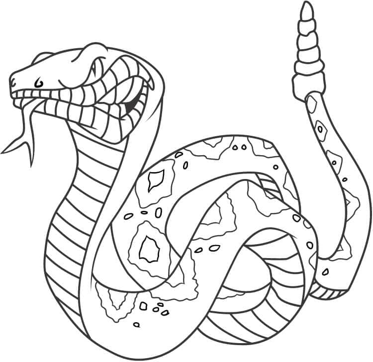 Käärme Vapaa Värityskuva