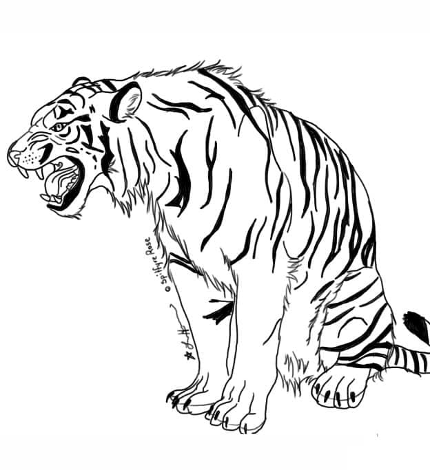 Muriseva tiikeri Värityskuva