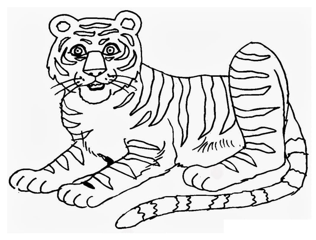 Normaali tiikeri Värityskuva