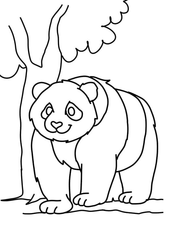 Panda lähellä puuta Värityskuva