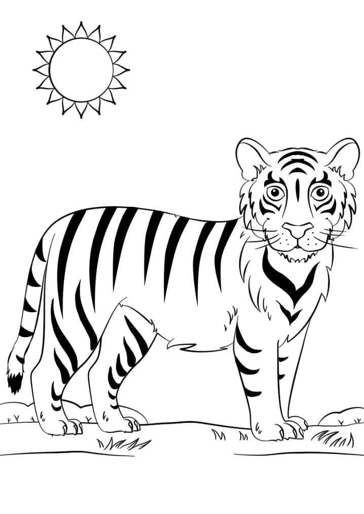 Suloinen tiikeri Värityskuva
