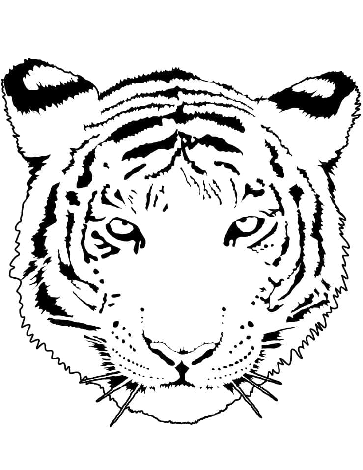 Tiikerin kasvot Värityskuva