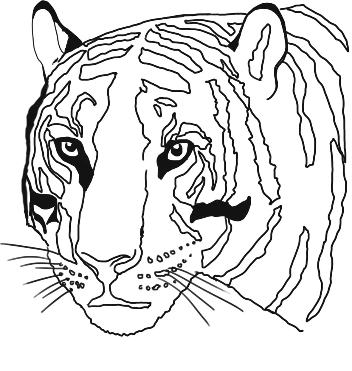 Tiikerin pää Värityskuva