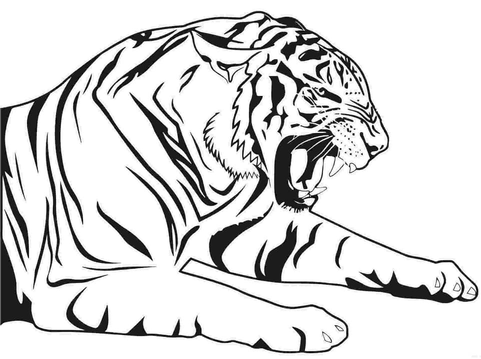 Tiikerin piirustus Värityskuva