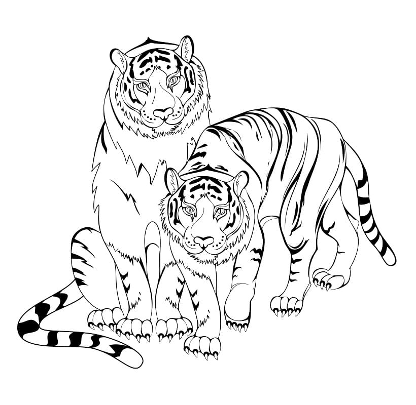Tulostettavat tiikerit Värityskuva