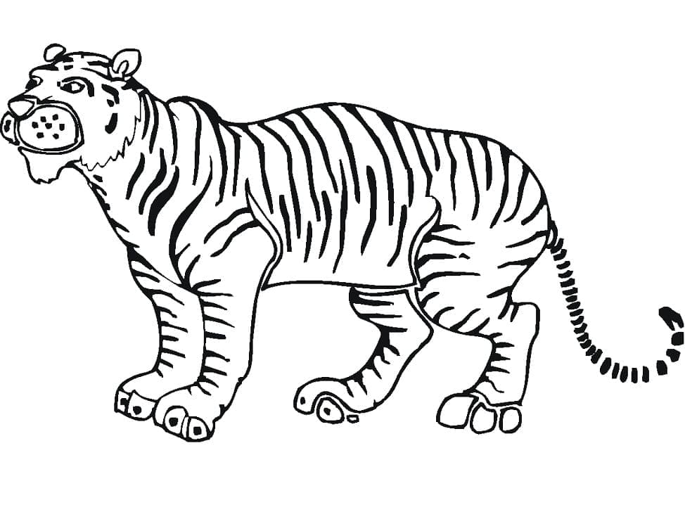 Vapaa Tiikeri Värityskuva