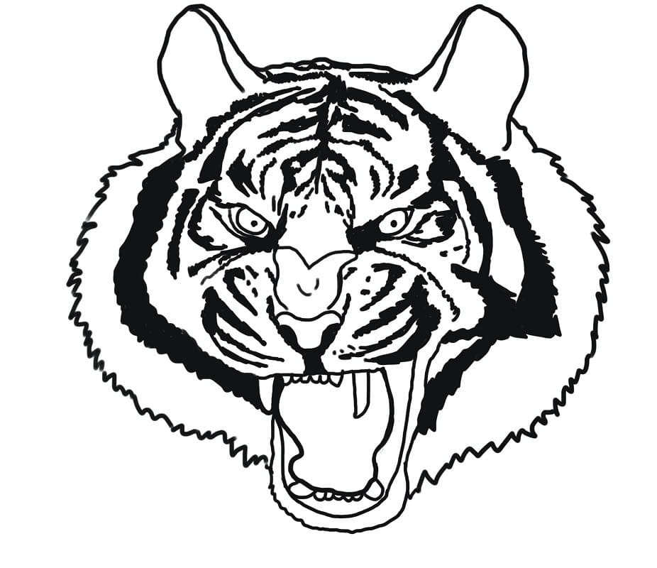Vihainen Tiikerin kasvot Värityskuva