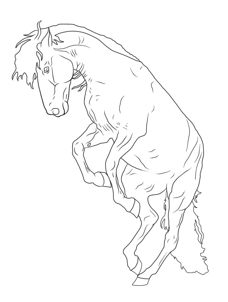 A Horse coloring page Värityskuva