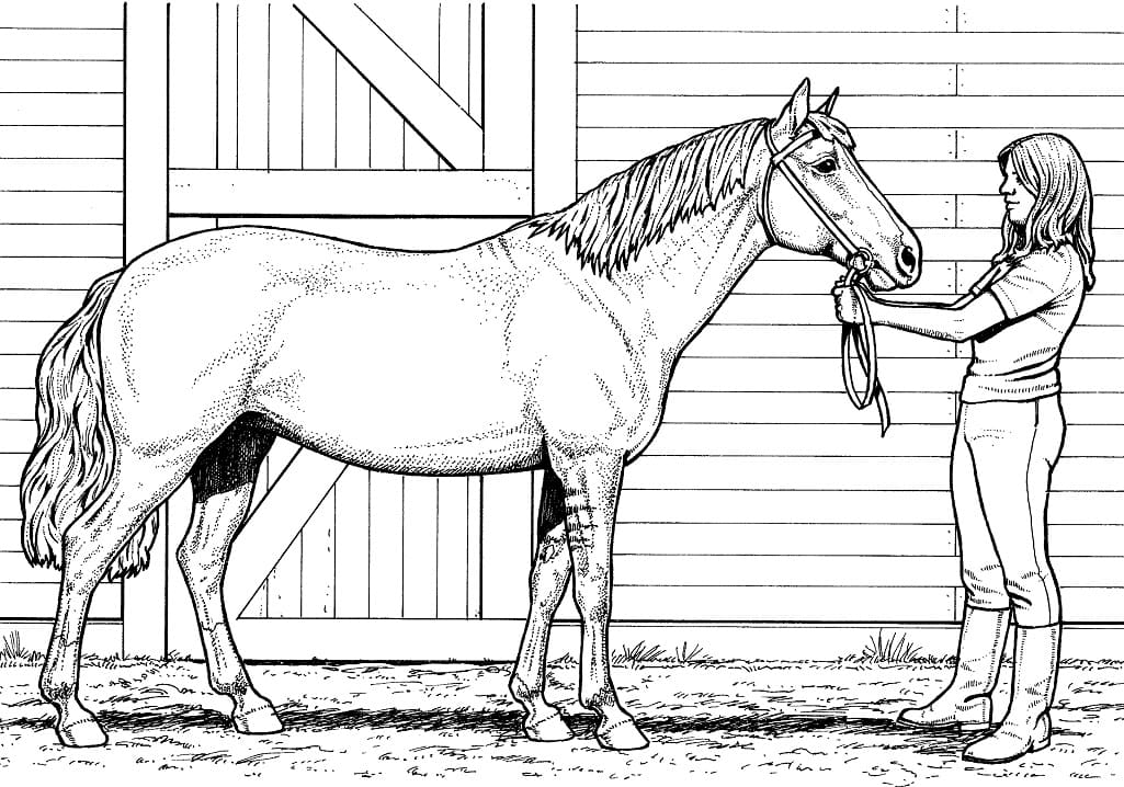 A Woman and Horse coloring page Värityskuva
