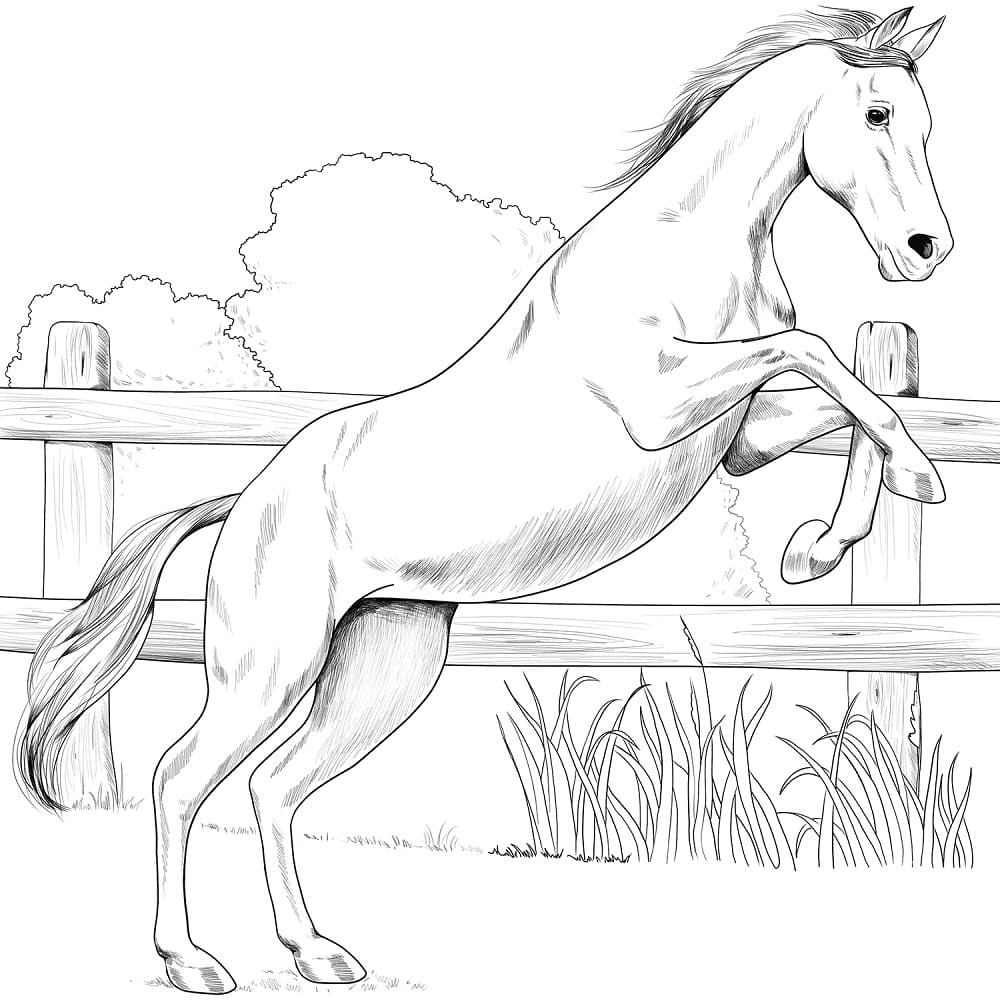 Anglo Arabian Horse coloring page Värityskuva