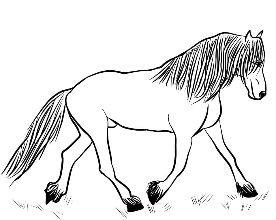 Friesian Horse coloring page Värityskuva