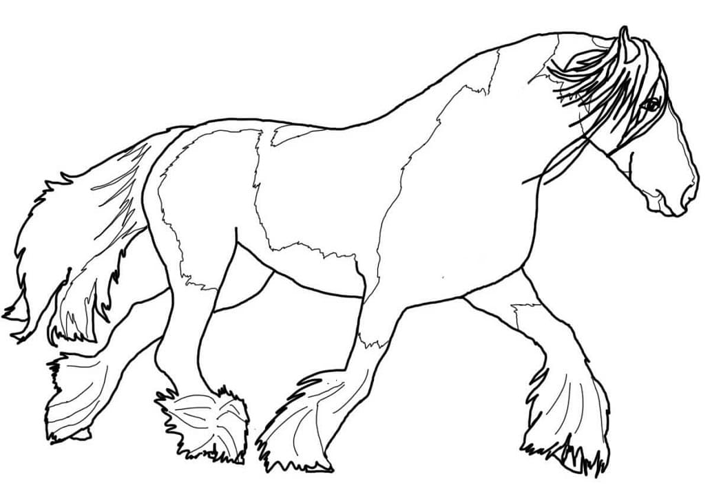 Gypsy Vanner Horse coloring page Värityskuva
