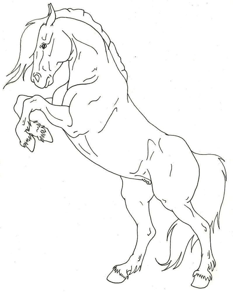 Horse 2 coloring page Värityskuva