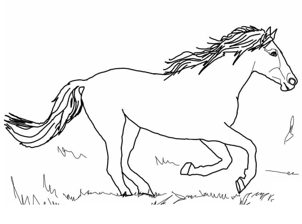 Horse is Running coloring page Värityskuva