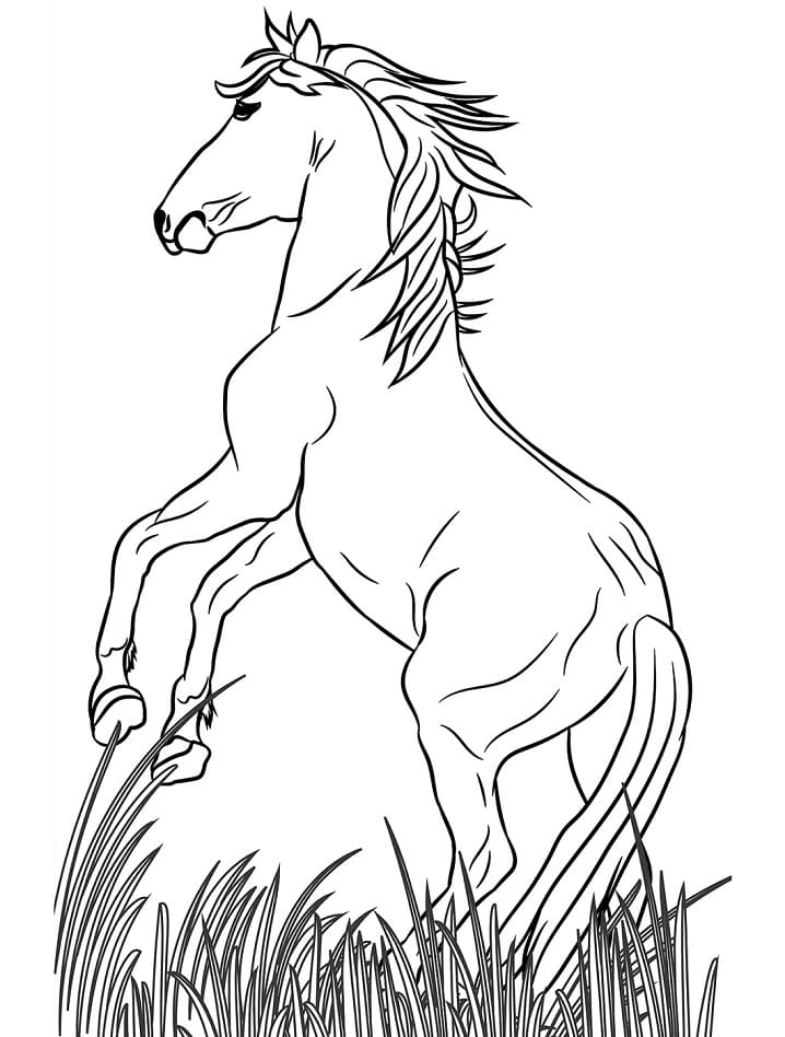 Horse on Grass coloring page Värityskuva