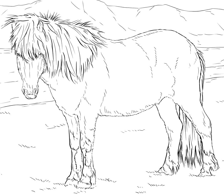 Icelandic Horse coloring page Värityskuva