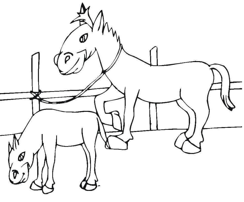 Little Horses coloring page Värityskuva