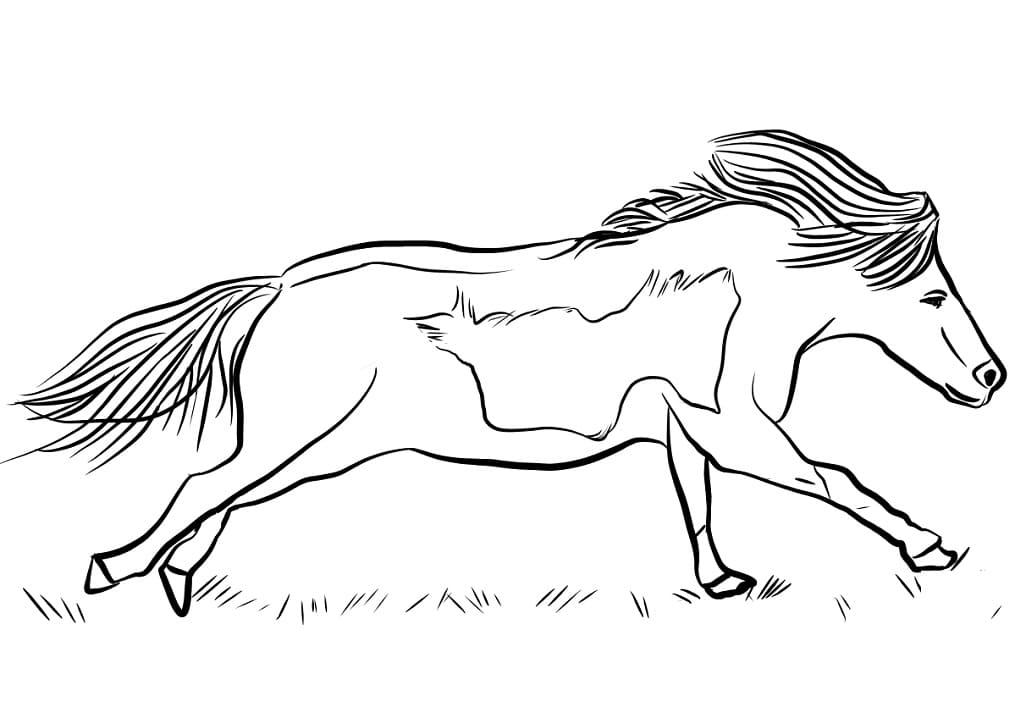 Miniature Horse Running coloring page Värityskuva
