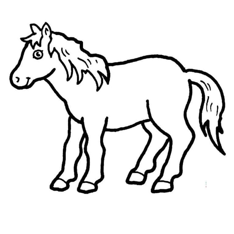 Normal Horse coloring page Värityskuva