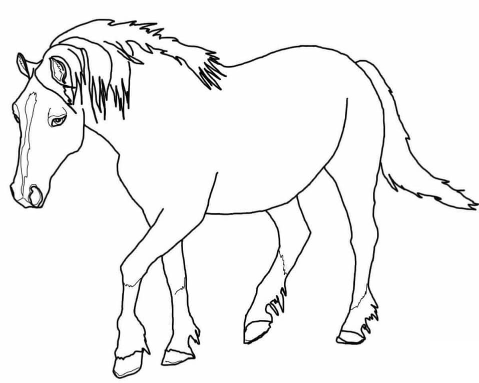Palomino Welsh Horse coloring page Värityskuva