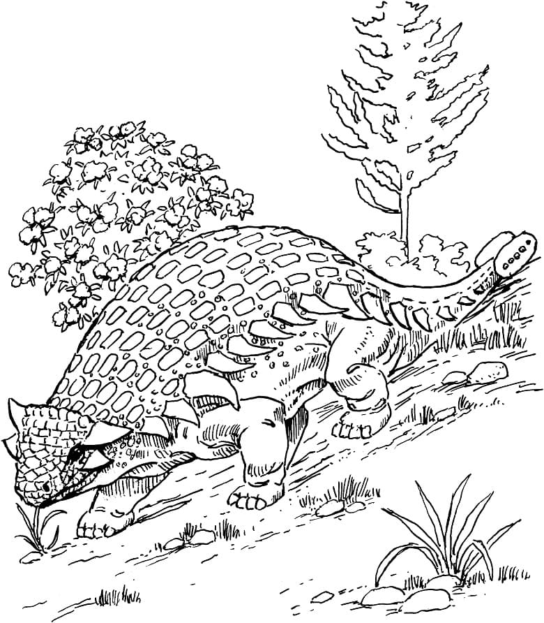 Ankylosaurus Dino Värityskuva