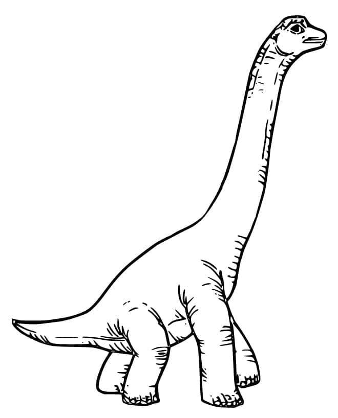 Brachiosaurus 10 Värityskuva