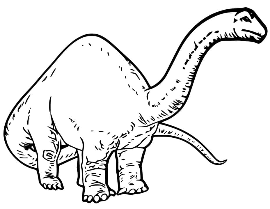 Brachiosaurus 11 Värityskuva