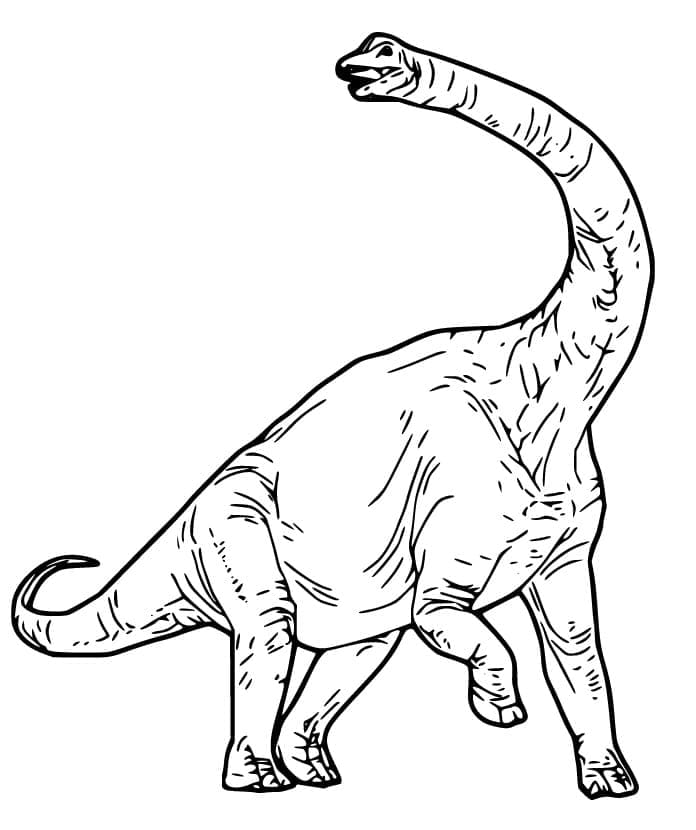 Brachiosaurus 12 Värityskuva