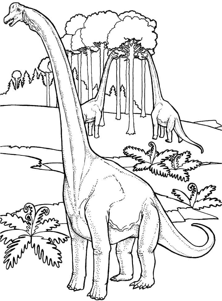 Brachiosaurus 3 Värityskuva