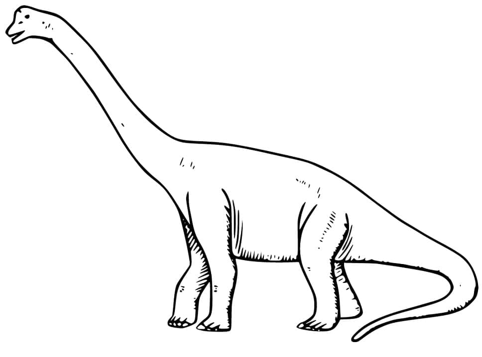 Brachiosaurus 8 Värityskuva