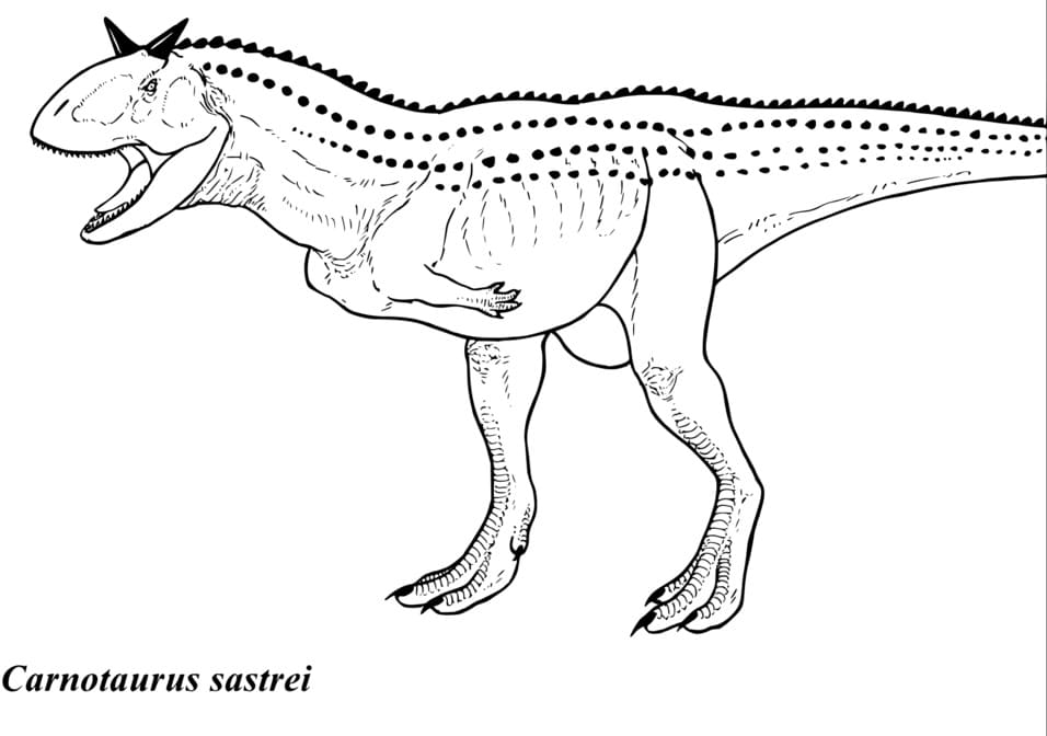 Carnotaurus Sastrei Värityskuva