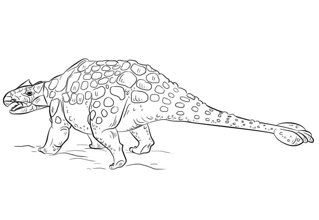 Dinosaurus Ankylosaurus Värityskuva