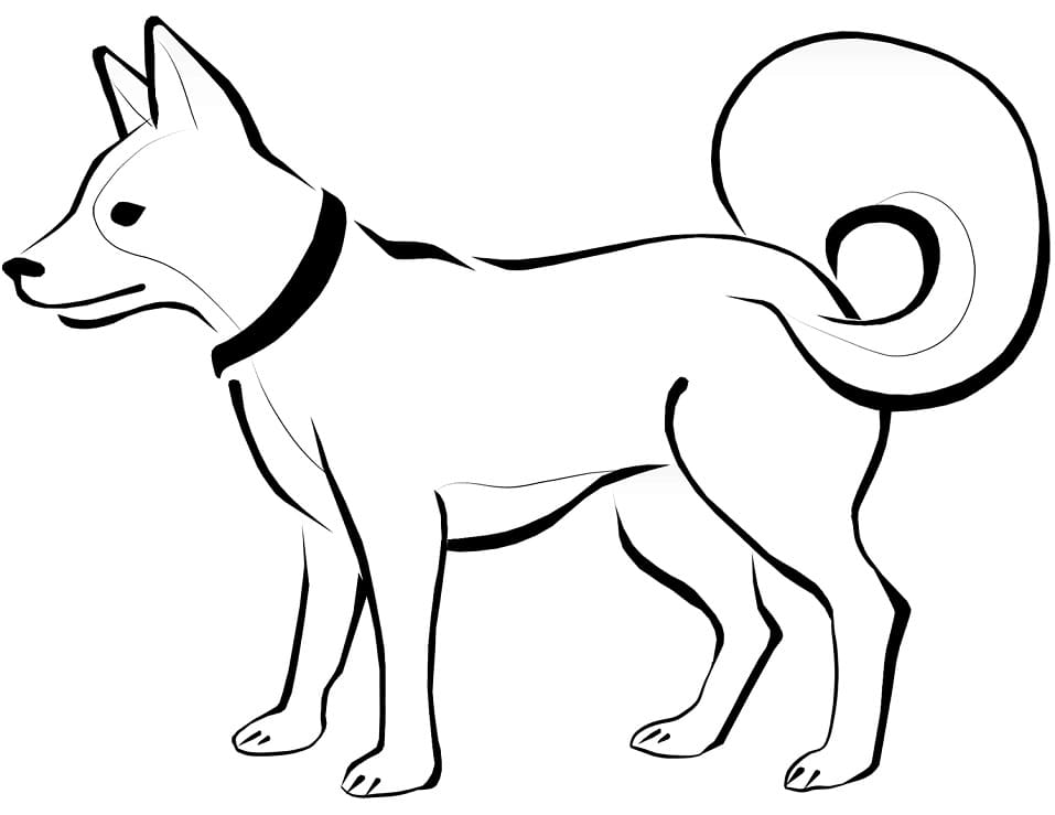 eskimo koira Värityskuva