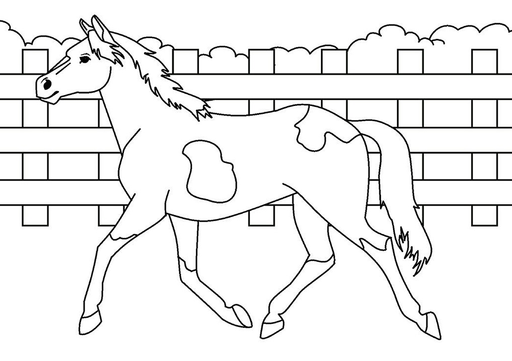 horse (1)_05 Värityskuva