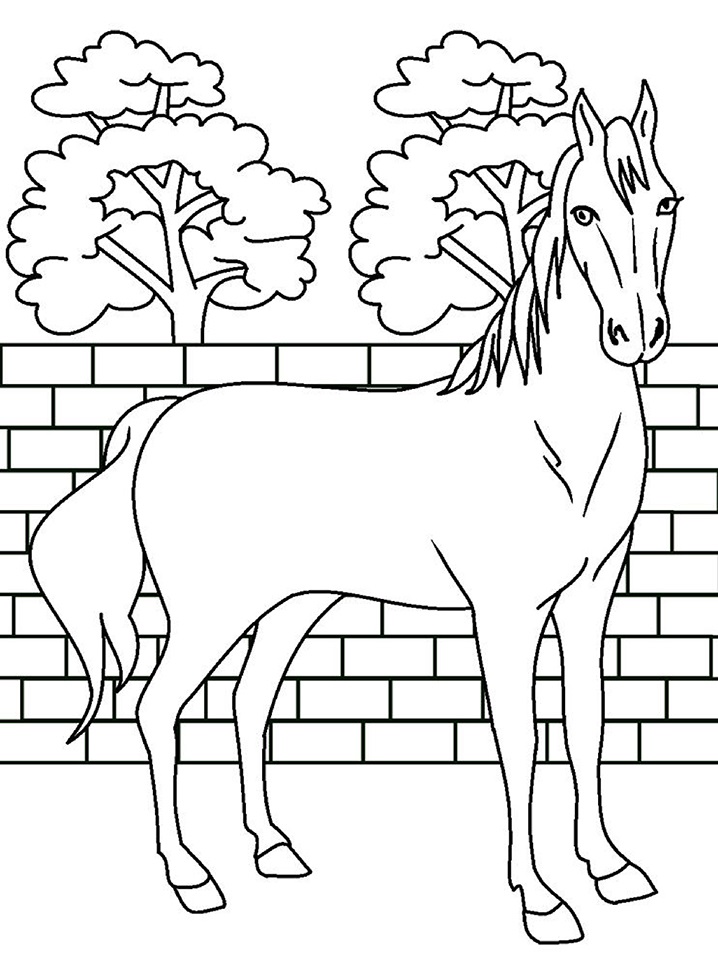 horse (1)_14 Värityskuva