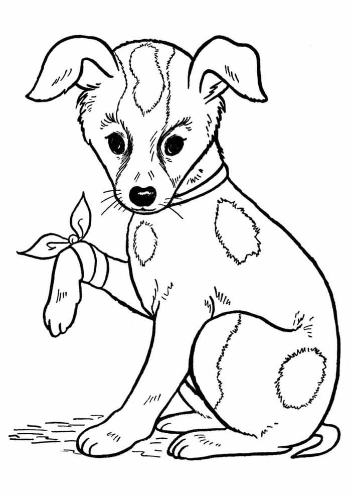 huono koiran piirustus Värityskuva