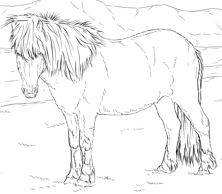 islannin hevonen Värityskuva