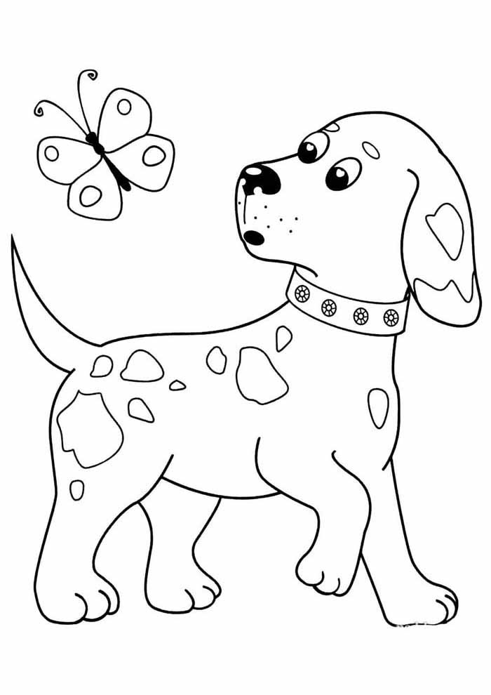 Koiran ja perhonen piirustus Värityskuva
