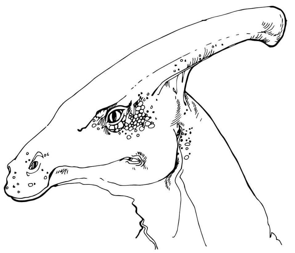 Parasaurolophus Head Värityskuva