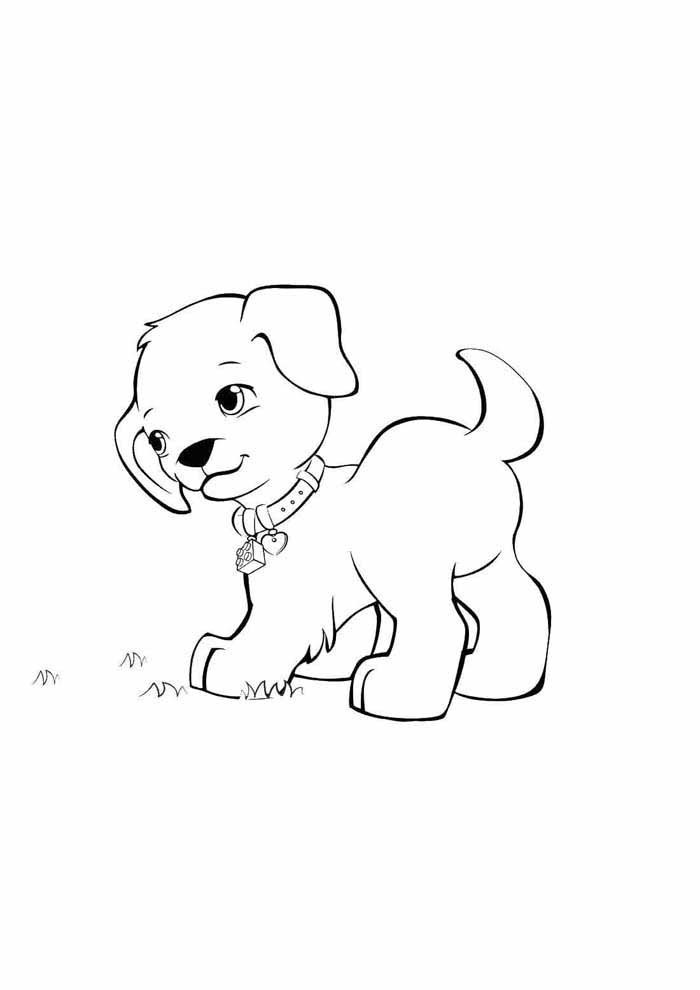 pienen koiran piirustus Värityskuva