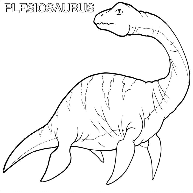 Plesiosaurus 3 Värityskuva