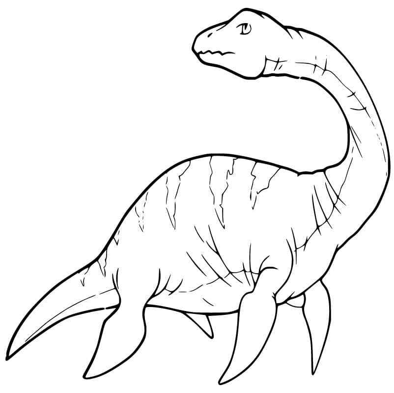 Plesiosaurus Tulostettava Värityskuva