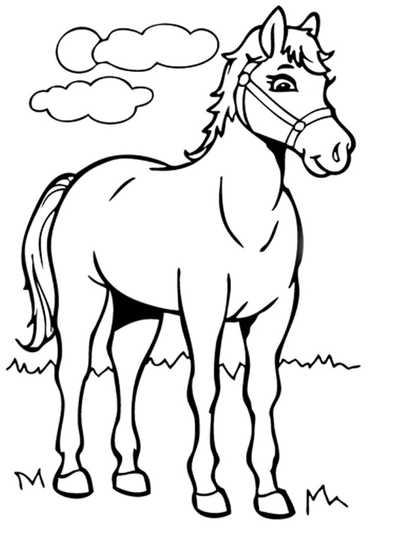 sarjakuva hevonen Värityskuva