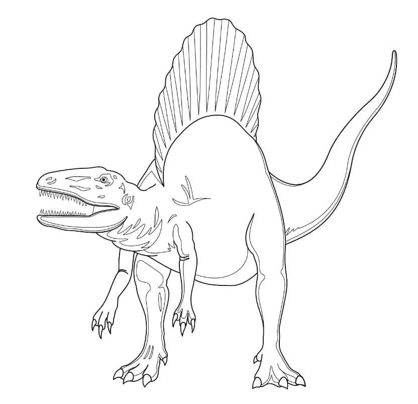 Spinosaurus 7 Värityskuva