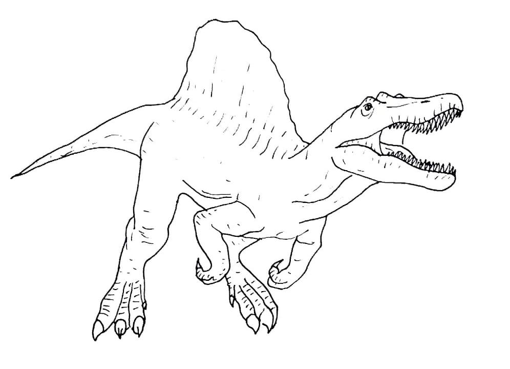 Spinosaurus 9 Värityskuva