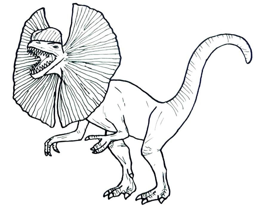 Tulostettava Dilophosaurus Värityskuva