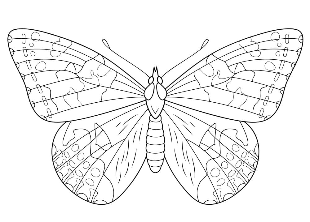 Maalattu Lady Butterfly Värityskuva