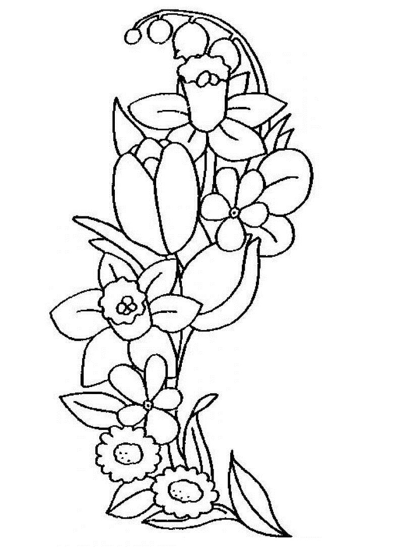 flori narcise desene Värityskuva