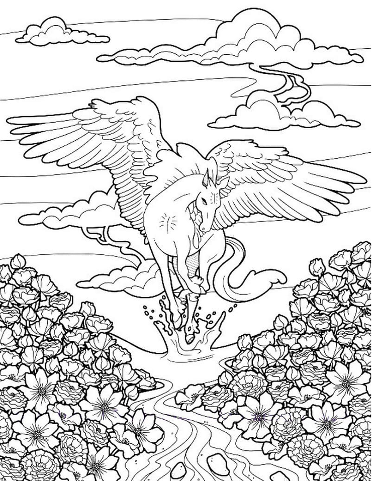 Pegasus roiskuu Värityskuva