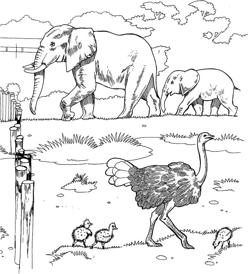 African Animals coloring page Värityskuva